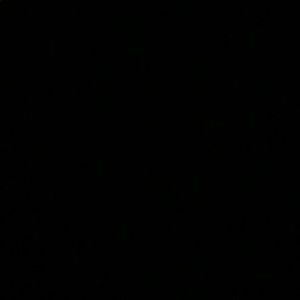 Meet your Posher, Lena